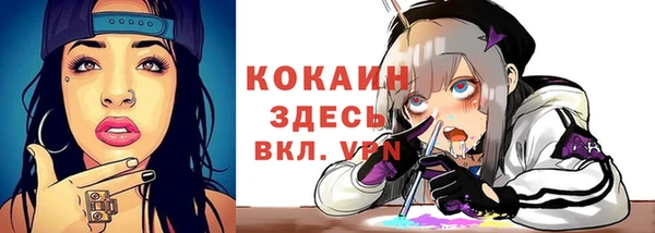 ешки Гусев