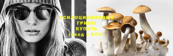 гидропоника Гусь-Хрустальный