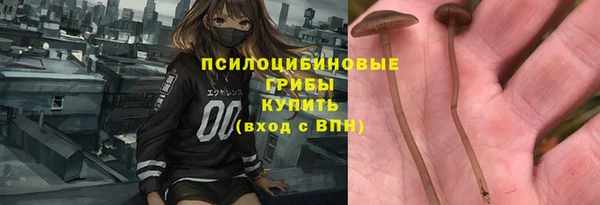 гидропоника Гусь-Хрустальный