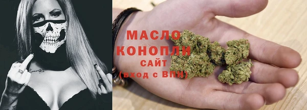 ешки Гусев