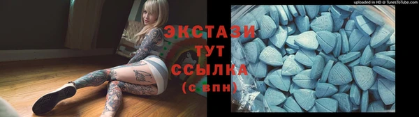 гидропоника Гусь-Хрустальный