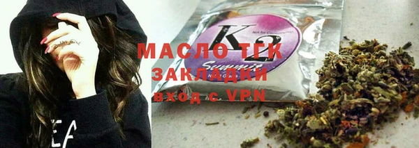 тгк Дмитриев
