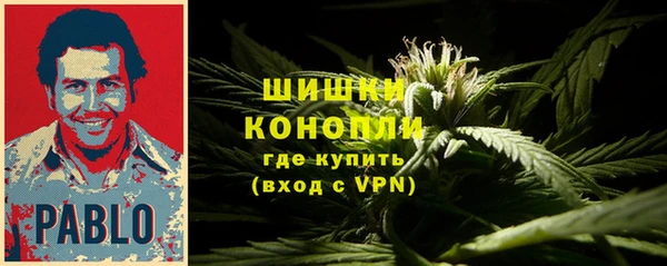 Альфа ПВП Гусиноозёрск