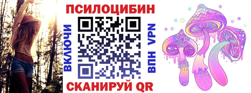 Купить закладки  Братск  Галлюциногенные грибы GOLDEN TEACHER 
