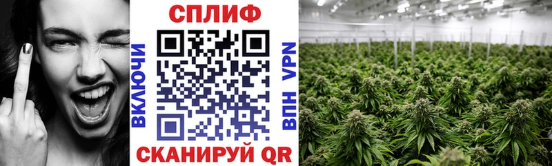 Бошки марихуана Amnesia  Купить закладки  Братск 